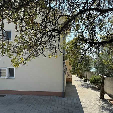 Noel & Vito * Vodice