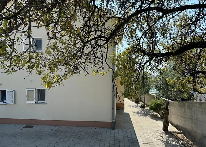 Noel & Vito * Водице